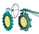 Butterfly Valve