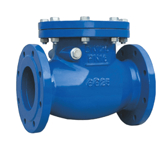 Check Valves