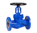 Globe Valve