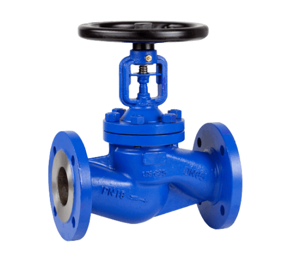 Globe Valve